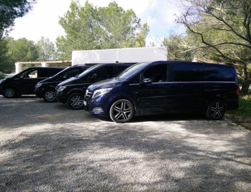 Mercedes V-Class fleet