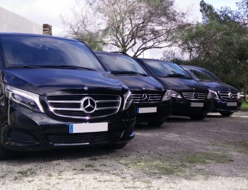 Mercedes V-Class fleet