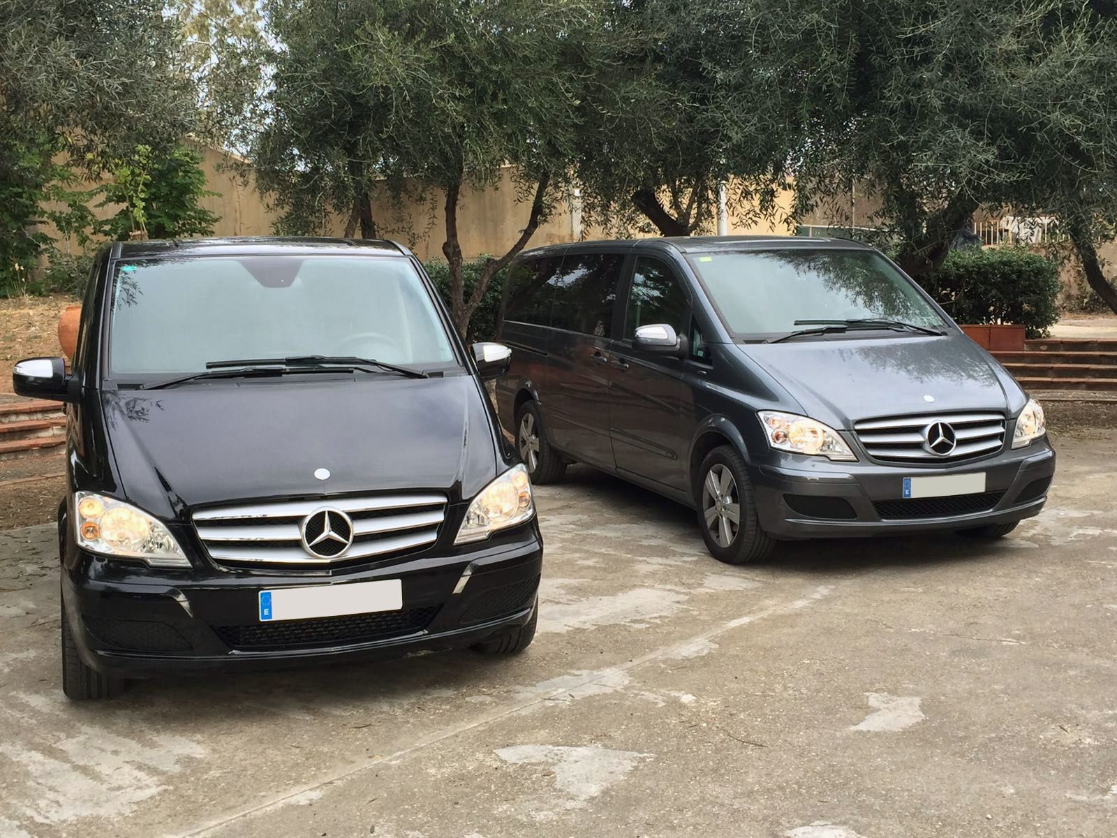 Mercedes at the village
